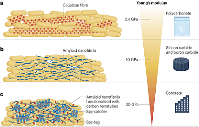 Grafik Biofilme &copy; B&uuml;hler, Philipp, Ulber & Gescher 2023/UFZ